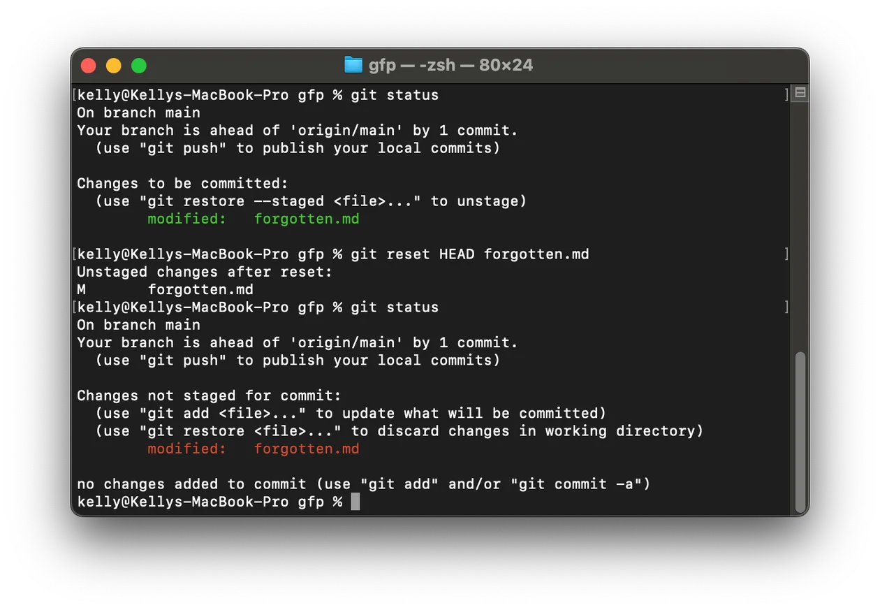 Screenshot 2024-08-20 at 4.01.55\u202fPM.png