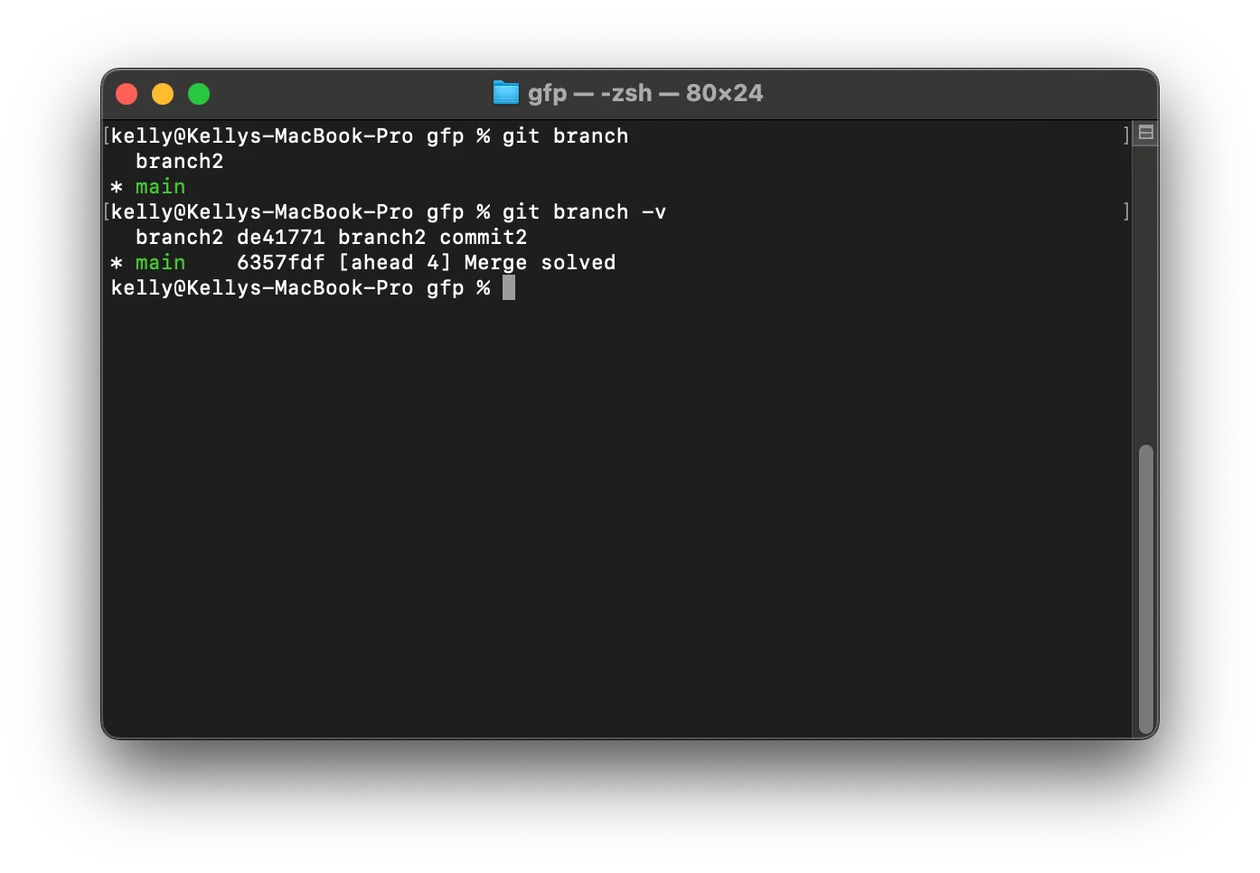 Screenshot 2024-08-20 at 5.29.28\u202fPM.png